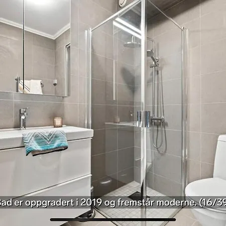 Koselig Bygardsleilighet I Sentrum Apartment