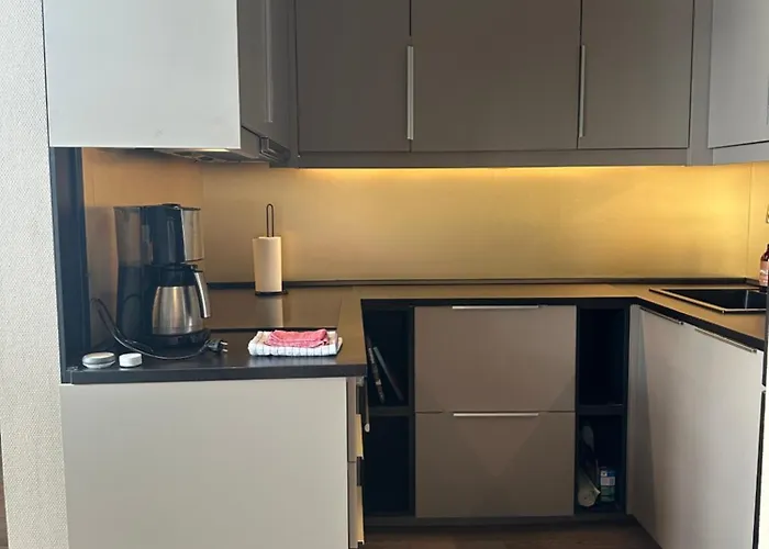 公寓 Koselig Bygardsleilighet I Sentrum *